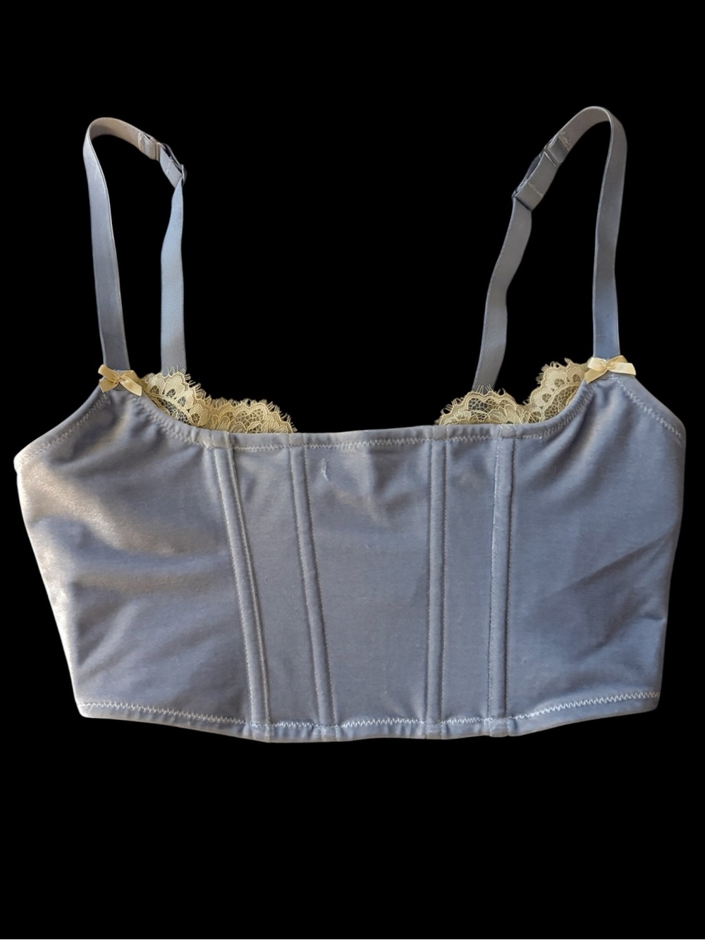 SKIMS Velvet Lace Corset – Periwinkle 
Never worn once with tags attached 🤍💋